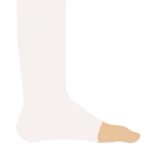 Elastic Ankle